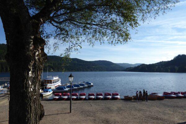 Titisee