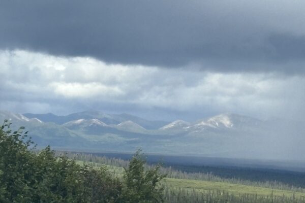 Top of the World Highway and the Denali Highway, two great roads.