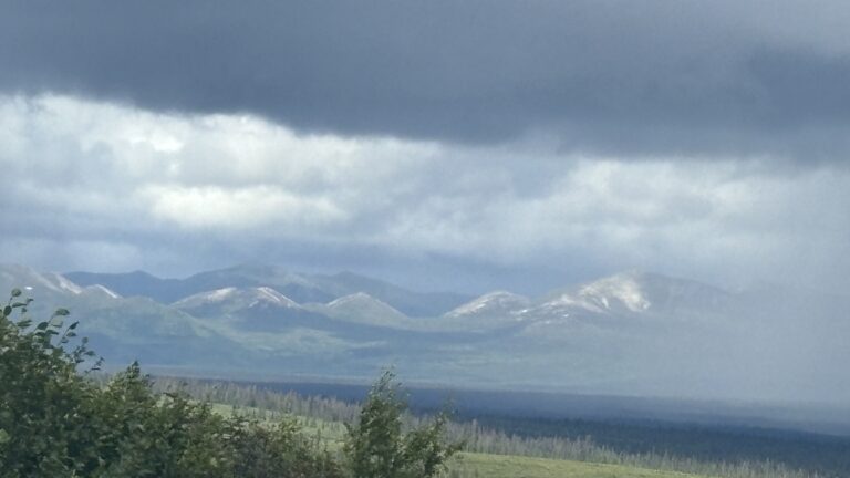 Top of the World Highway and the Denali Highway, two great roads.